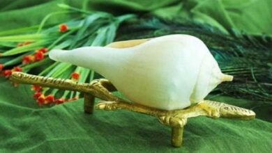Conch